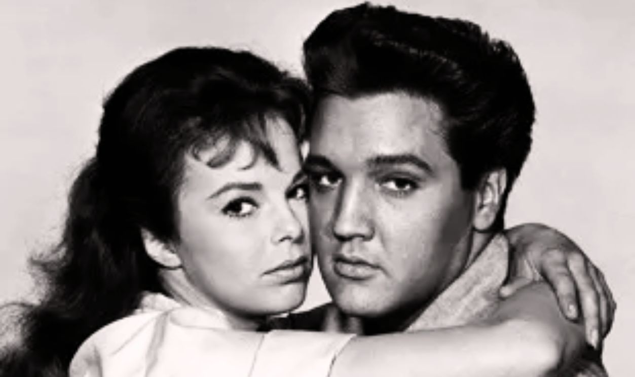 Amazing 'outstanding' Film Tells Horrifying True Story Of Elvis Presley's Marriage On Bbc Tonight Photo Nature Amazing 'outstanding' Film Tells Horrifying True Story Of Elvis Presley's Marriage On Bbc Tonight Photo Nature